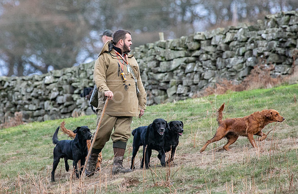Stoneleywoods 26th Nov-134