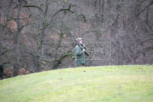 Stoneleywoods 26th Nov-141
