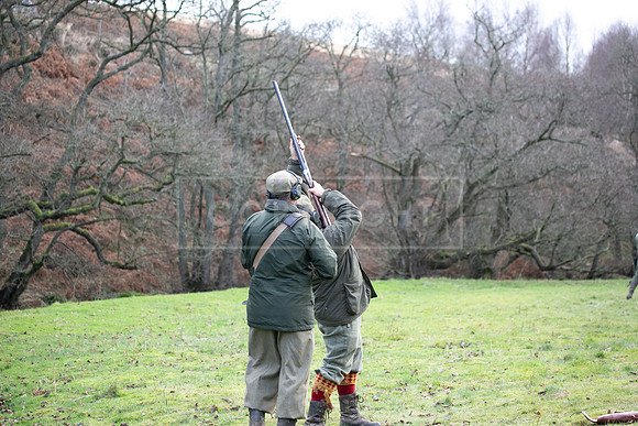 Stoneleywoods 26th Nov-143