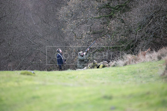 Stoneleywoods 26th Nov-170