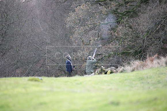 Stoneleywoods 26th Nov-171