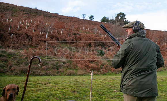 Stoneleywoods 26th Nov-205