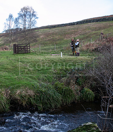 Stoneleywoods 26th Nov-246