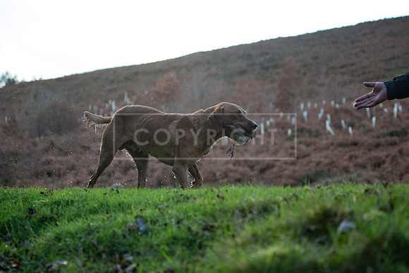 Stoneleywoods 26th Nov-266