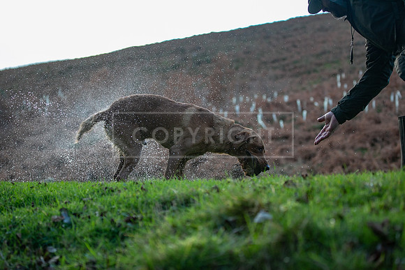 Stoneleywoods 26th Nov-267