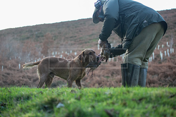 Stoneleywoods 26th Nov-268