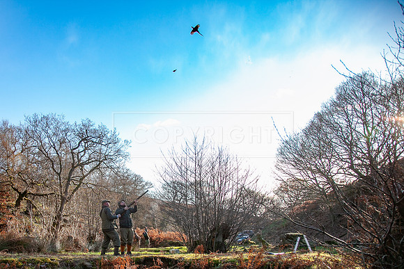 Stoneleywoods 26th Nov-307