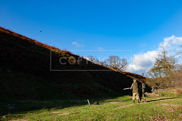 Stoneleywoods 26th Nov-310