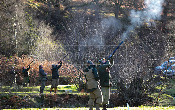 Stoneleywoods 26th Nov-319