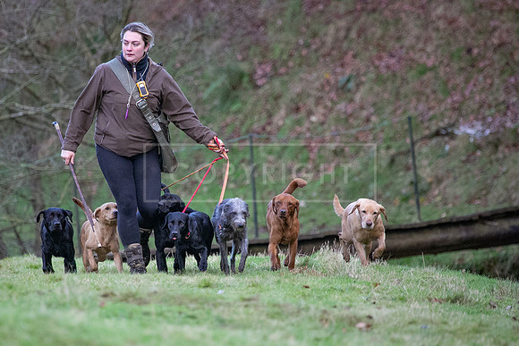 Stoneleywoods 26th Nov-370