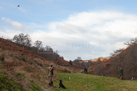 Stoneleywoods 26th Nov-390