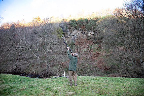 Stoneleywoods 26th Nov-391