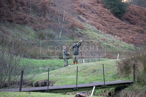 Stoneleywoods 26th Nov-392