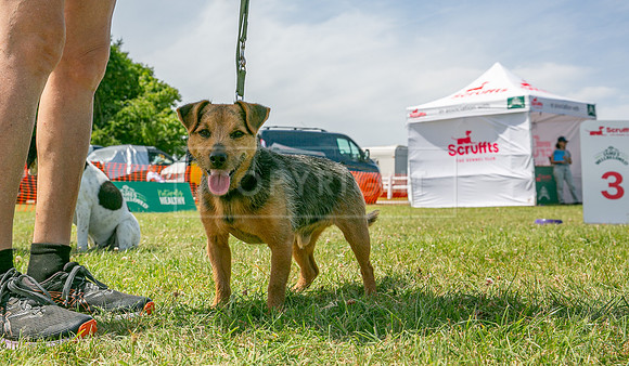 Scruffts heat @ Wadebridge 13th July 2025-114