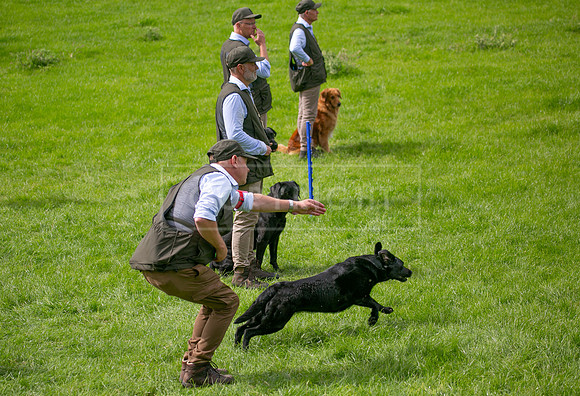 Int Retriever Day 1 -193
