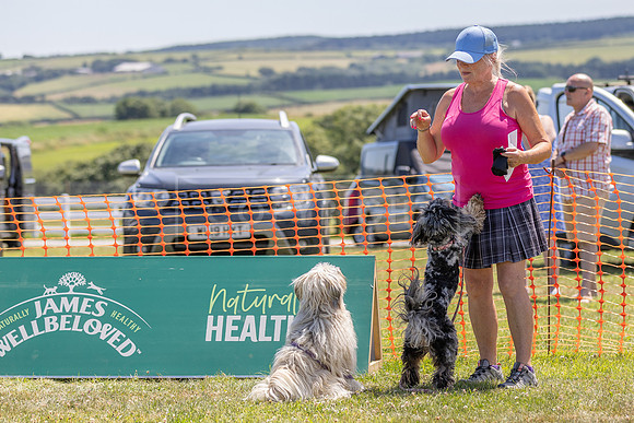 Scruffts heat @ Wadebridge 13th July 2025-57