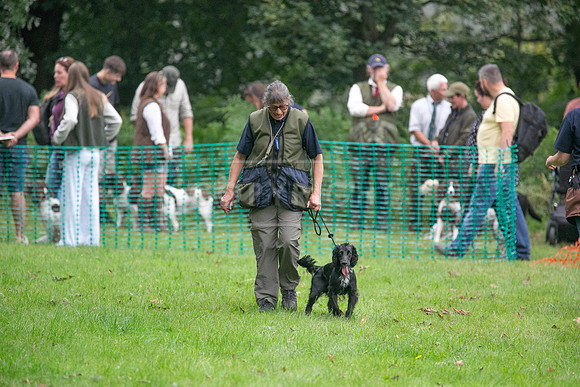 Jixenwell Scurry Challenge Final 2024-0259