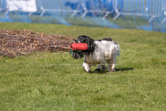 Thoresby Sun 30th Mar 25-084
