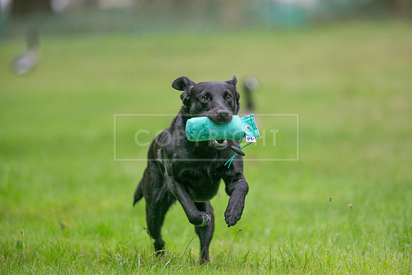 Jixenwell Scurry Challenge Final 2024-0140