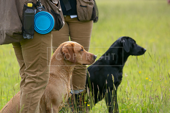 Int Retriever Day 1 -056