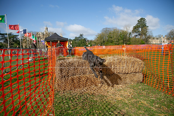 Thoresby Sun 30th Mar 25-013