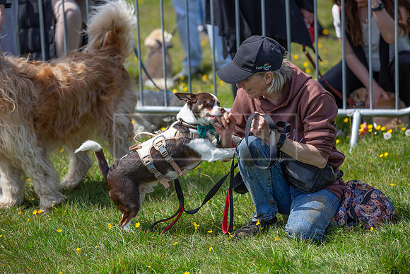Scruffts @ Hylands Park 5th May 2024-026