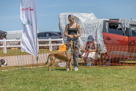 Scruffts heat @ Wadebridge 13th July 2025-55
