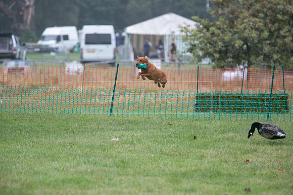 Jixenwell Scurry Challenge Final 2024-0147