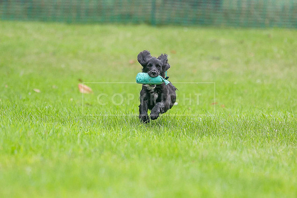 Jixenwell Scurry Challenge Final 2024-0292