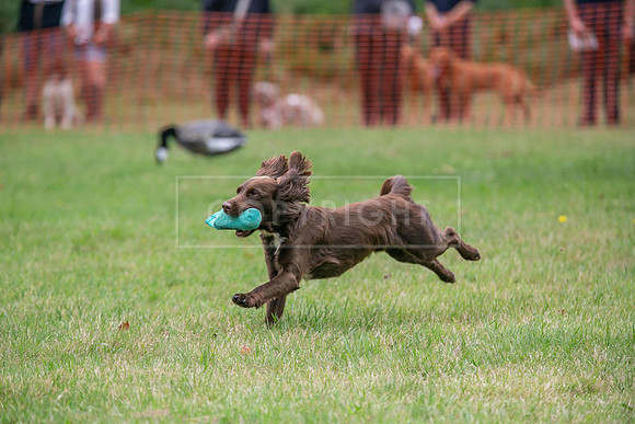 Jixenwell Scurry Challenge Final 2024-0213