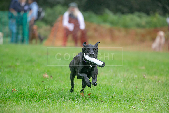 Jixenwell Scurry Challenge Final 2024-0090