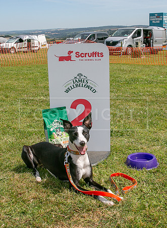 Scruffts heat @ Wadebridge 13th July 2025-159