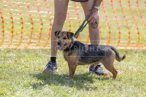 Scruffts heat @ Wadebridge 13th July 2025-111