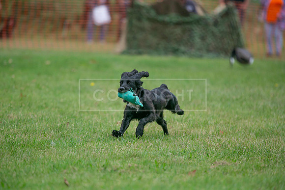 Jixenwell Scurry Challenge Final 2024-0253