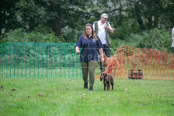 Jixenwell Scurry Challenge Final 2024-0207