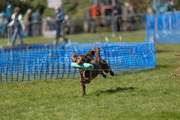 Thoresby Sun 30th Mar 25-151