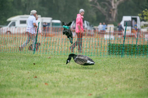 Jixenwell Scurry Challenge Final 2024-0266