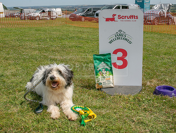 Scruffts heat @ Wadebridge 13th July 2025-161