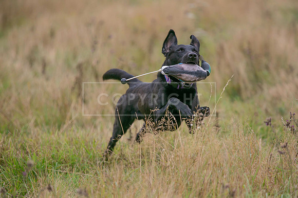 Jixenwell Scurry Challenge Final 2024-0454