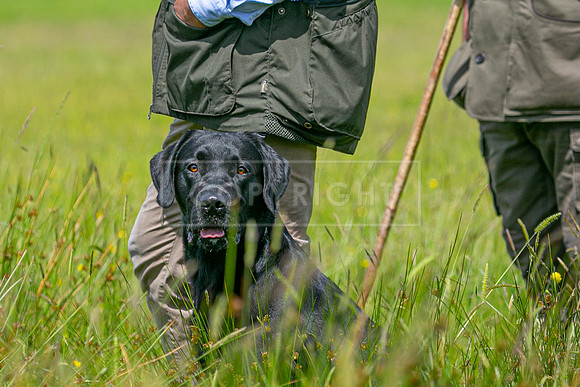 Int Retriever Day 1 -127