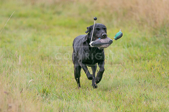 Jixenwell Scurry Challenge Final 2024-0499