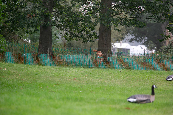 Jixenwell Scurry Challenge Final 2024-0383