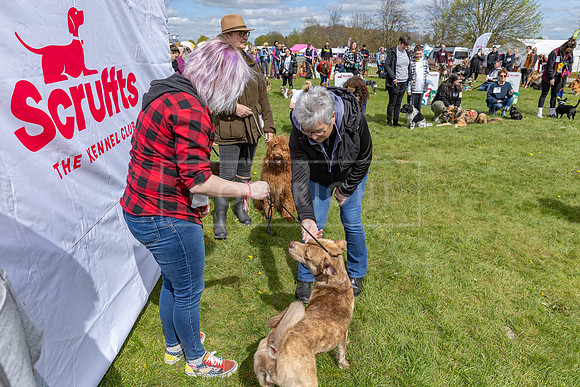 Scruffts @ Newbury 14 April 2024-004