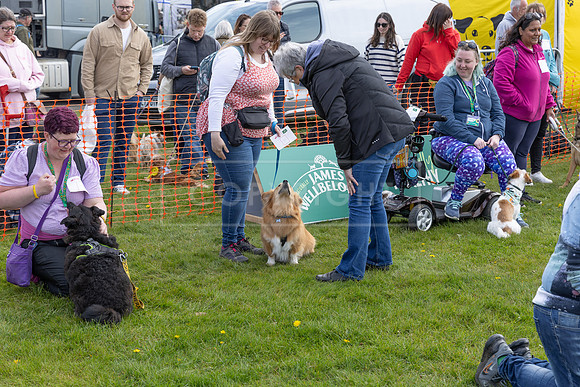 Scruffts @ Newbury 14 April 2024-010