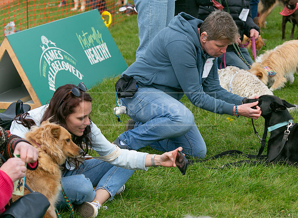 Scruffts @ Newbury 14 April 2024-030
