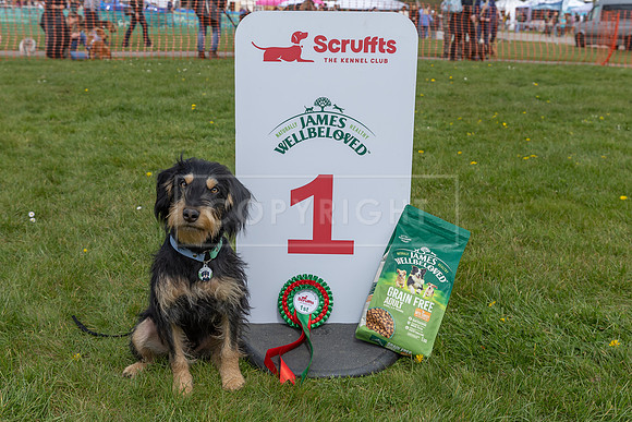 Scruffts @ Newbury 14 April 2024-028