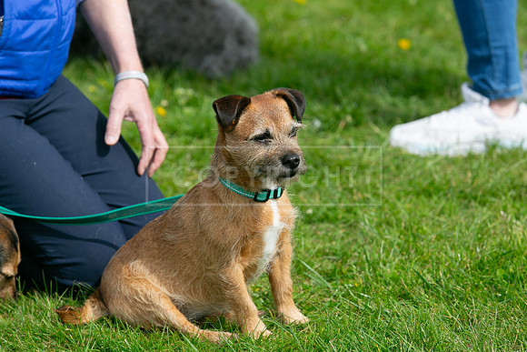 Scruffts @ Newbury 14 April 2024-037