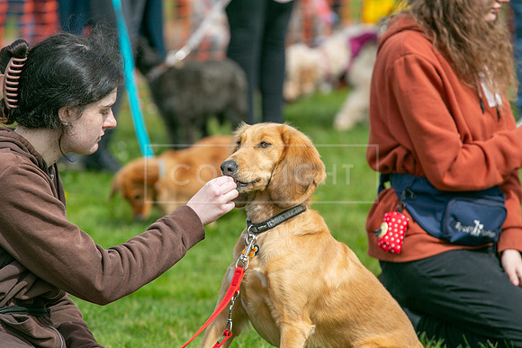 Scruffts @ Newbury 14 April 2024-038