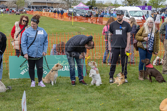 Scruffts @ Newbury 14 April 2024-033