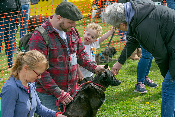 Scruffts @ Newbury 14 April 2024-046